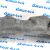 Подкрылок передний Jeep Grand Cherokee WK2 (правый) 55079292AG