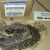 Цепь ГРМ Jeep Grand Cherokee WK2 V3.0/3.6/Jeep Cherokee KL V3.2/Dodge Ram 1500 V3.6 5184352AF