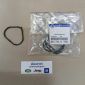 Прокладка впускного коллектора Jeep Compass MP/Jeep Cherokee KL/Jeep Renegad BU V2.4 Multiair 4627326AD