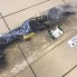 Нижний патрубок радиатора Land Rover Discovery/Range Rover/Range Rover Sport LR166362