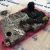 Гидроблок АКПП Jeep Grand Cherokee WK2/Dodge Callenger LA/Chrysler 300C LX 68259301AC